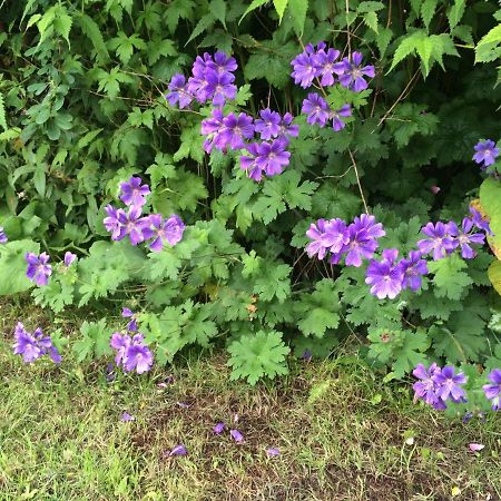 Fern Cottage Dorchester Bagian luar foto