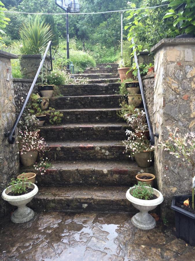 Fern Cottage Dorchester Bagian luar foto