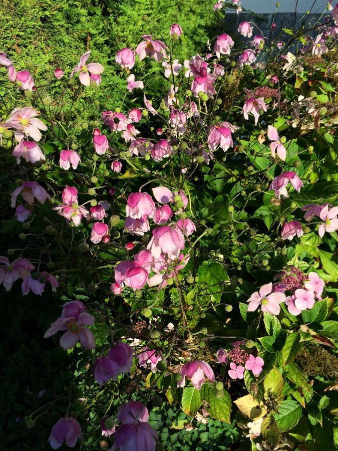Fern Cottage Dorchester Bagian luar foto