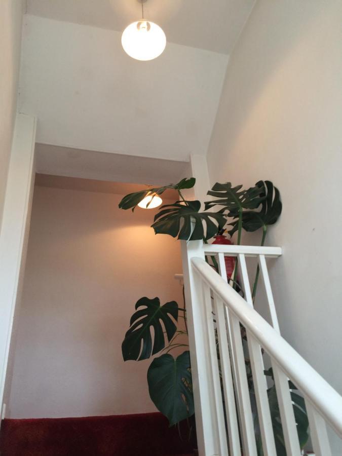 Fern Cottage Dorchester Bagian luar foto